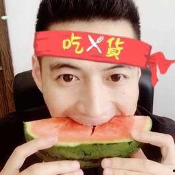 吃大瓜摆烂后全娱乐圈都被馋哭