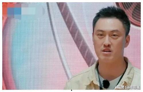 娱乐圈吃瓜爆料 合集,揭秘明星背后的故事与真相